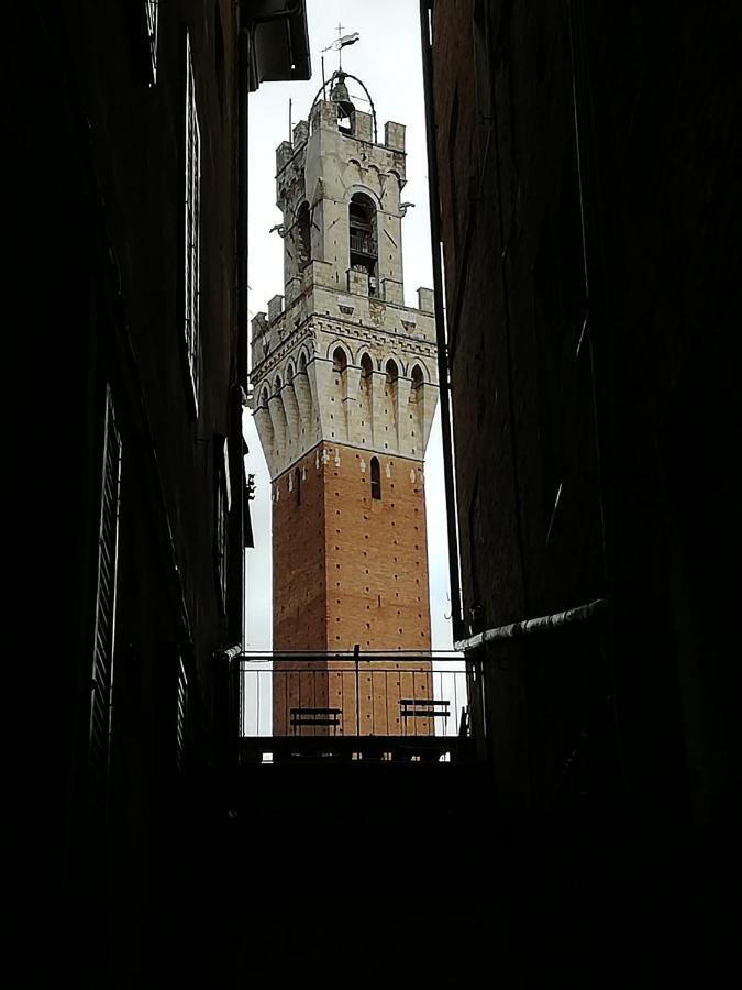 Alloggio Ristrutturato A 50 Metri Da Piazza Del Campo 锡耶纳 外观 照片